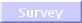 Survey