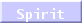 Spirit