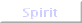 Spirit
